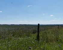 06-1.JPG