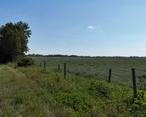 07-1.JPG