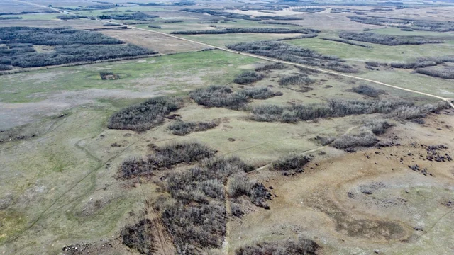 10 20240427_181128000_iOS (Large)