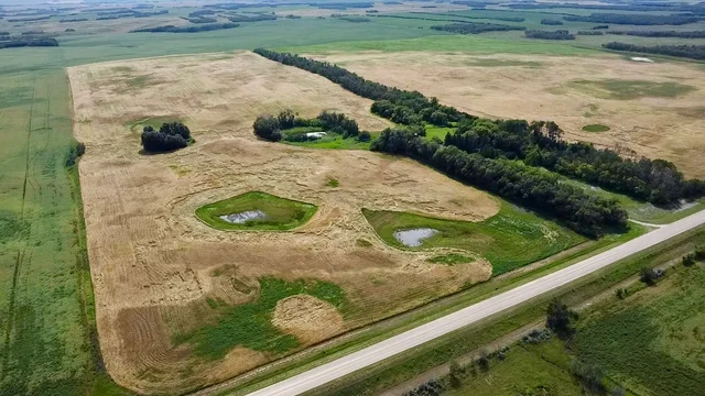 10 20250818_203447473_iOS