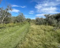 10 20250818_220134982_iOS