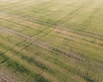 10dji_fly_20260805_195726_115_1786293958243_photo_optimized.JPG