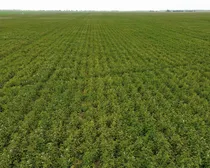 10dji_fly_20260810_164006_276_1786544495631_photo_optimized2.JPG