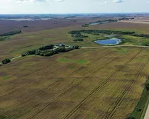 10dji_fly_20260908.JPG