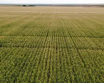 11dji_fly_20260805_195826_122_1786293956821_photo_optimized.JPG