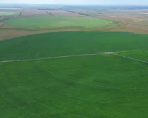 11dji_fly_20260810_164658_279_1786544494380_photo_optimized2.JPG