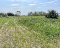 12 20250604_165359725_iOS