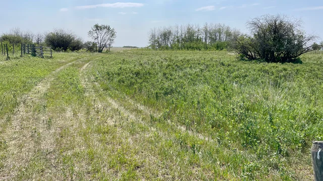 12 20250604_165359725_iOS