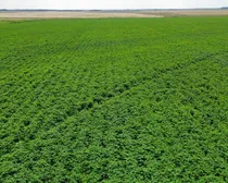 12dji_fly_20260810_164800_280_1786544493984_photo_optimized2.JPG