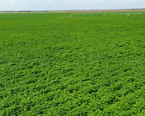13dji_fly_20260810_164808_282_1786544493125_photo_optimized2.JPG