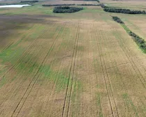 13dji_fly_20260908.JPG