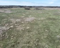 14 20240427_181448000_iOS (Large)