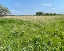 14 20250604_165526214_iOS