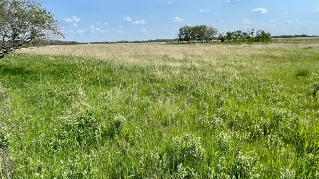 14 20250604_165526214_iOS