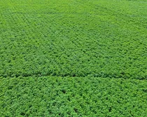 14dji_fly_20260810_164842_284_1786544492324_photo_optimized2.JPG