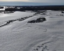 15 SW-3-54-7-W3 Farmland