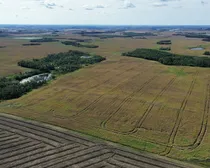 15dji_fly_20260908.JPG