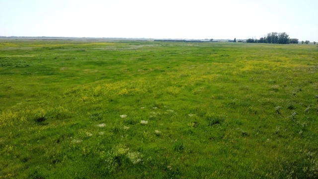 16a DJI_0986 (Large)