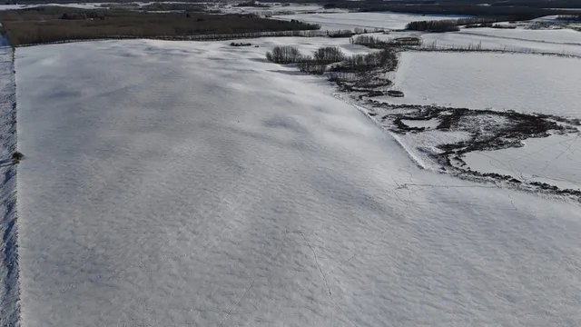 17 SE-3-54-7-W3 Satellite Farmland