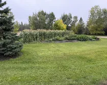 18-garden-1.jpg