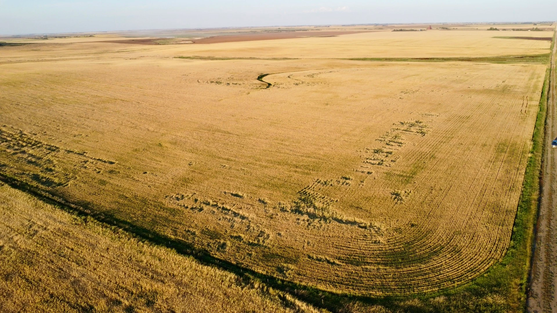 1a 20250827_011918000_iOS