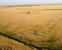 1a 20250827_011918000_iOS