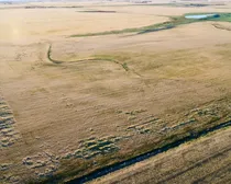 1b 20250827_012050000_iOS