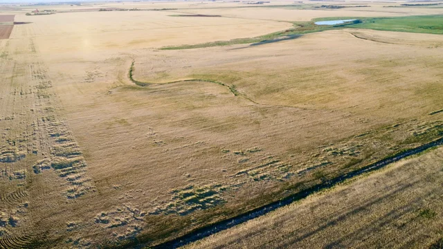 1b 20250827_012050000_iOS