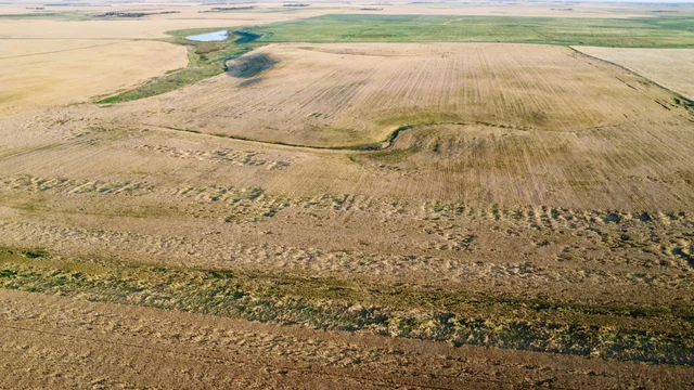 1c 20250827_012146000_iOS