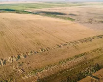 1d 20250827_012244000_iOS