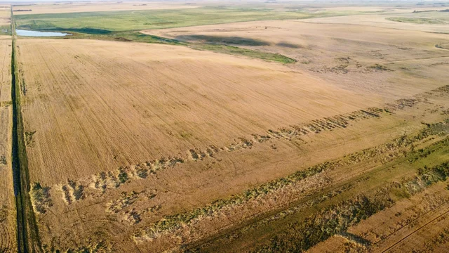 1d 20250827_012244000_iOS