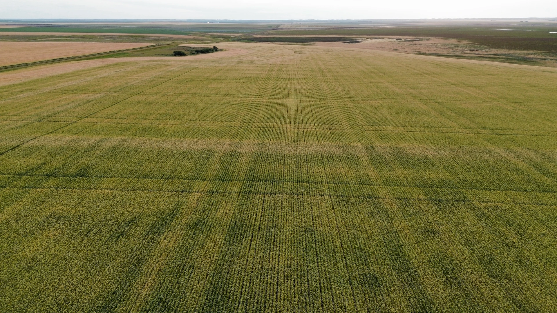 1dji_fly_20260805_195834_124_1786293956330_photo_optimized.JPG