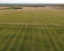 1dji_fly_20260805_195834_124_1786293956330_photo_optimized.JPG