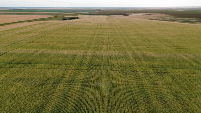 1dji_fly_20260805_195834_124_1786293956330_photo_optimized.JPG