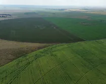 1dji_fly_20260810_163214_249_1786544508054_photo_optimized2.JPG