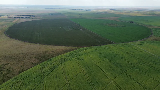 1dji_fly_20260810_163214_249_1786544508054_photo_optimized2.JPG