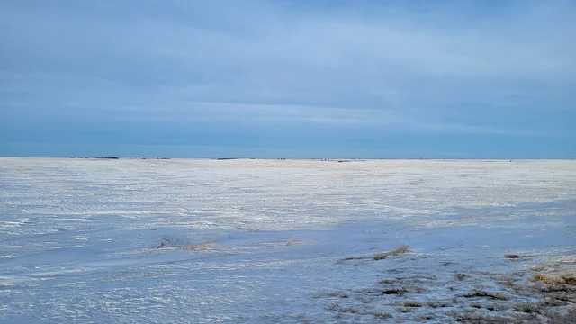 20250129_165643