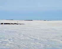 20250129_165752