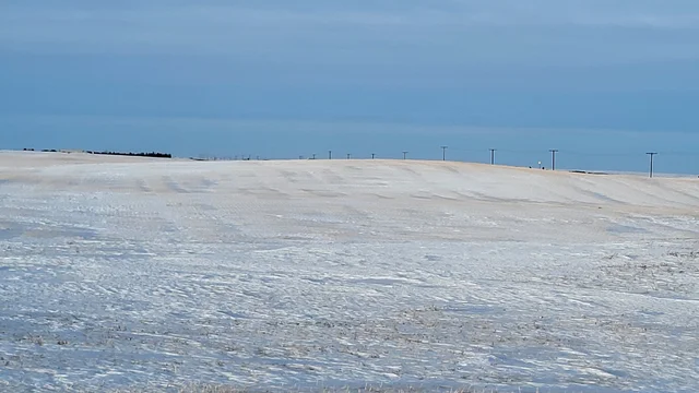 20250129_165757
