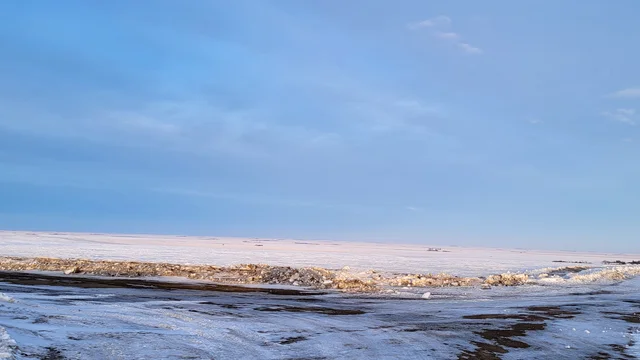 20250129_173952
