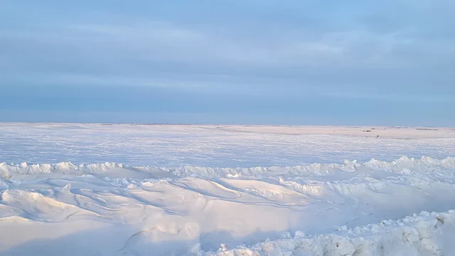 20250129_174023