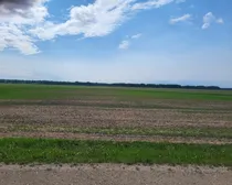 20250603_150313(0)