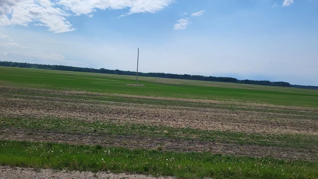 20250603_150317