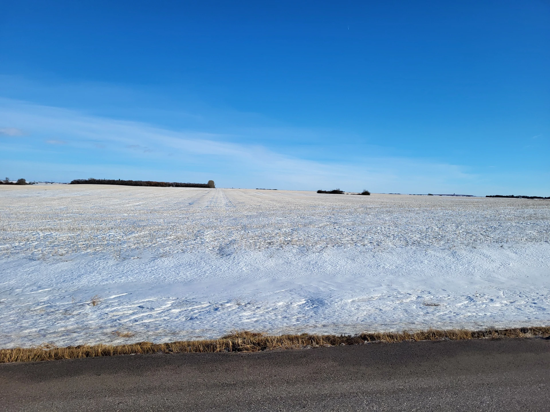 20260205_142939.jpg