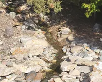 20260520_075650.jpg