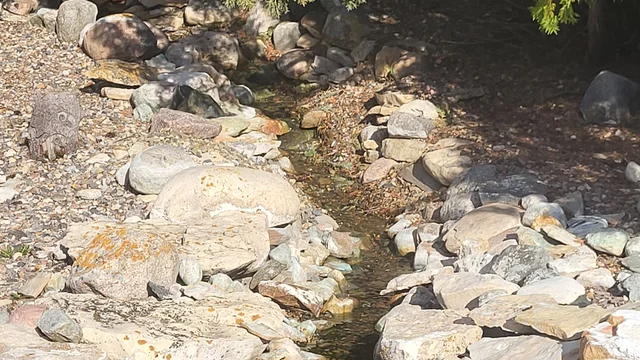 20260520_075650.jpg