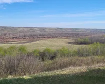 20260520_080149.jpg