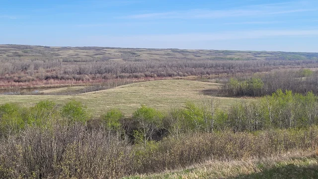 20260520_080149.jpg