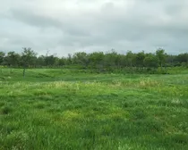 20260603_174140.jpg