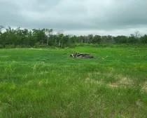 20260603_174146.jpg
